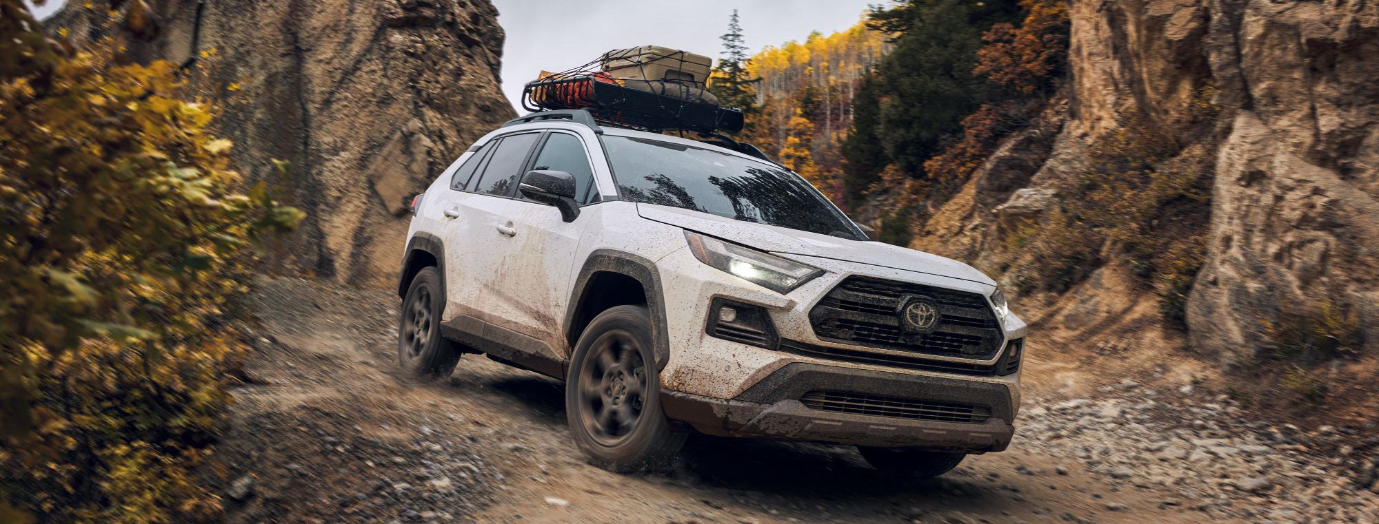 Bill Penney Toyota Of Jasper